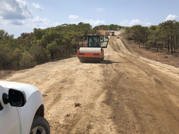 Cost of Driveway Grading in Wausau