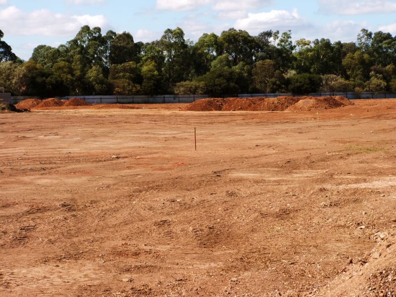 Residential Site Preparation